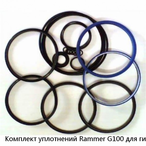 Комплект уплотнений Rammer G100 для гидромолота Rammer #1 small image