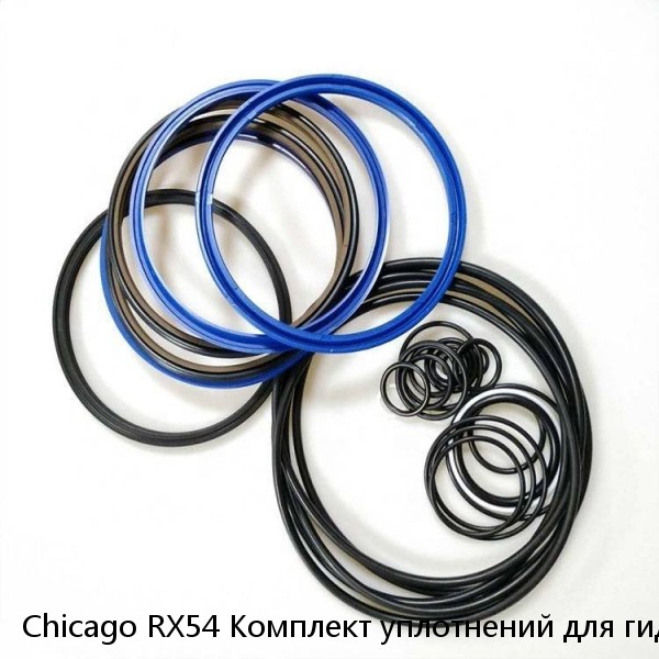 Chicago RX54 Комплект уплотнений для гидравлического молота Chicago #1 image