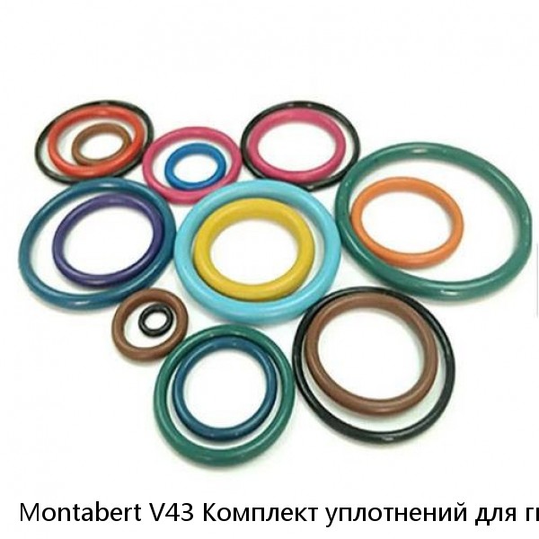 Montabert V43 Комплект уплотнений для гидромолота Montabert #1 image