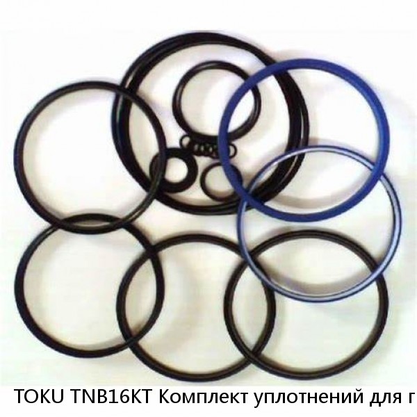 TOKU TNB16KT Комплект уплотнений для гидромолота TOKU #1 image
